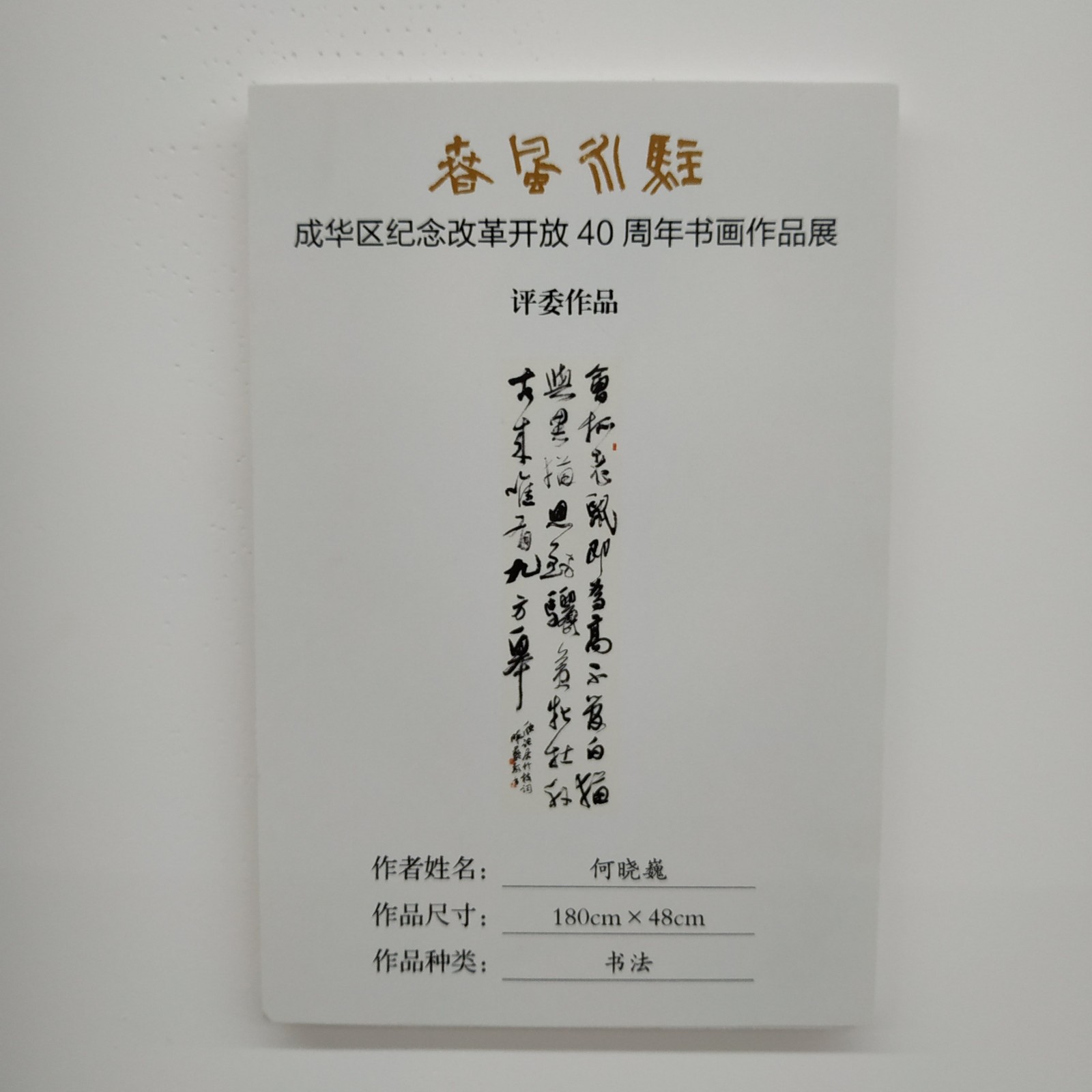 何晓巍参加成华区纪念改革开放40周年书画展插图1